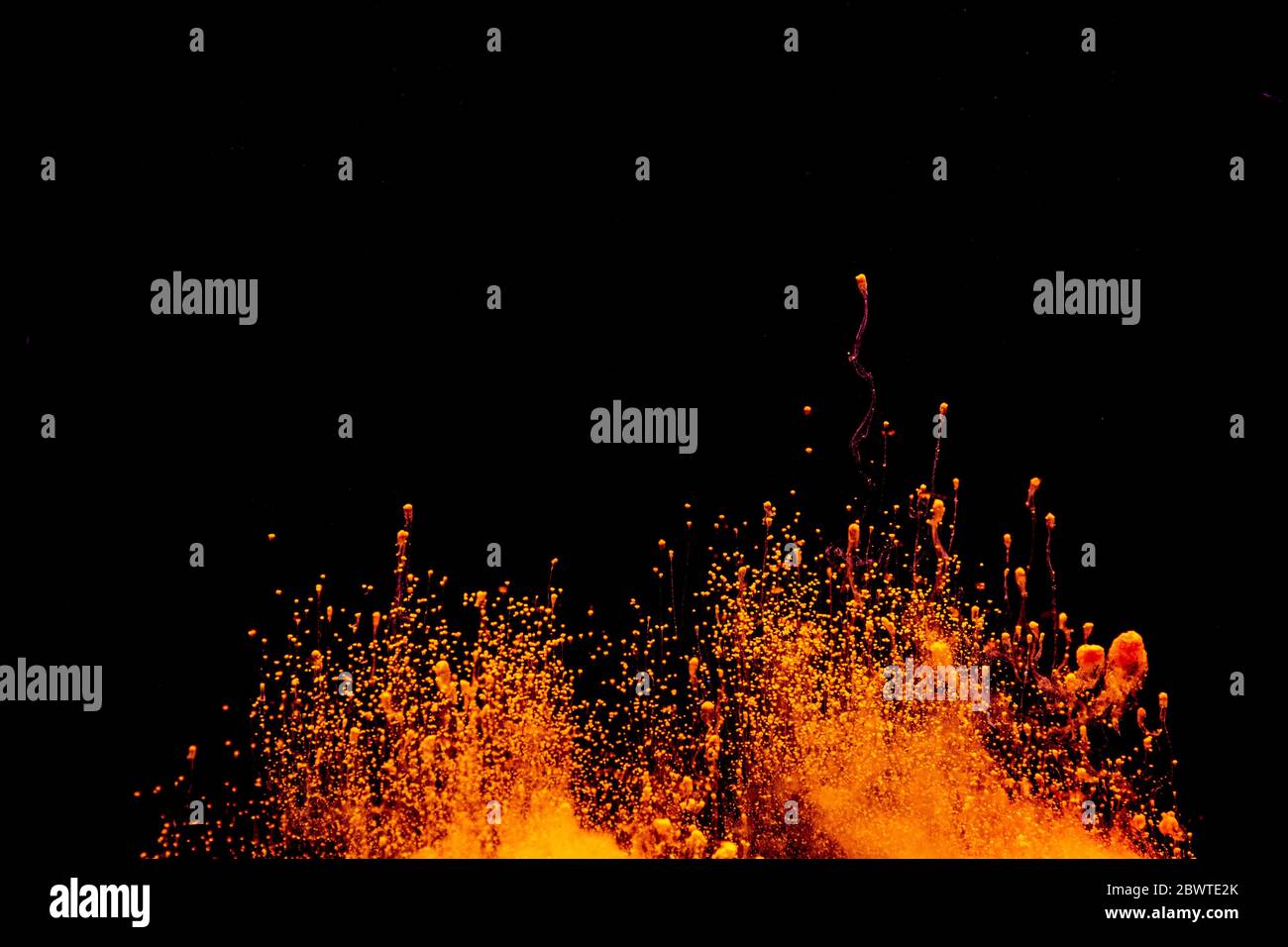Abstract colored dust explosion on a black background.abstract powder ...