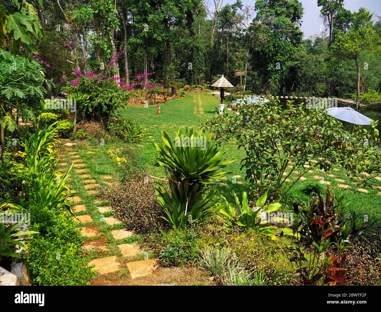 The garden in south Laos Stock Photo - Alamy