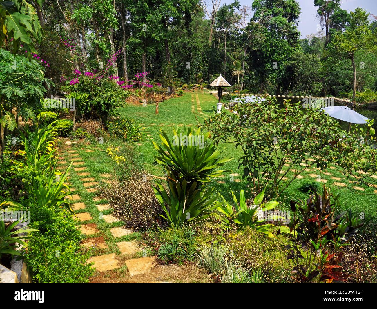 The Garden In South Laos Stock Photo - Alamy