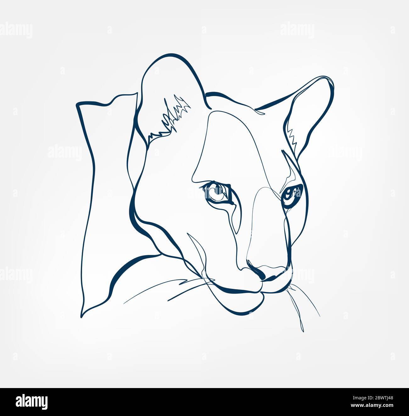 puma lion cat vector animal wild one line Stock Vector Image & Art - Alamy