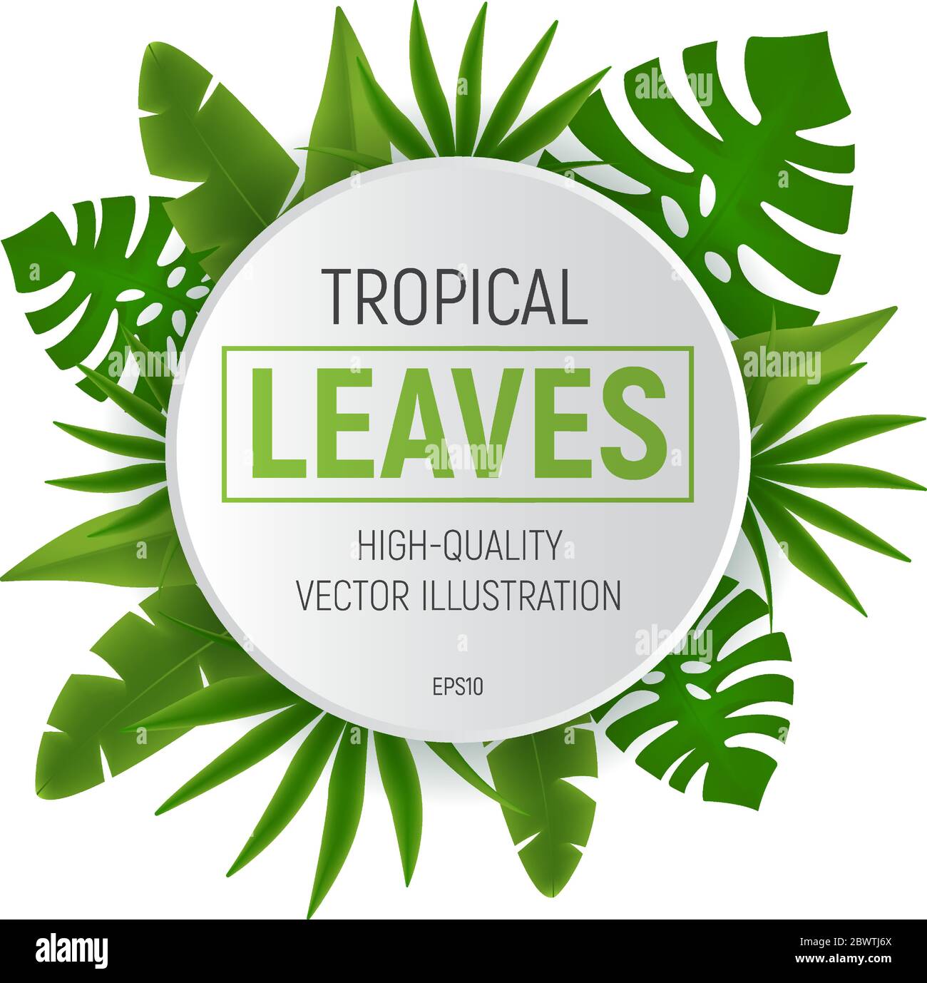 Tropical leaves round frame with green palm tree leaf. Vector ...
