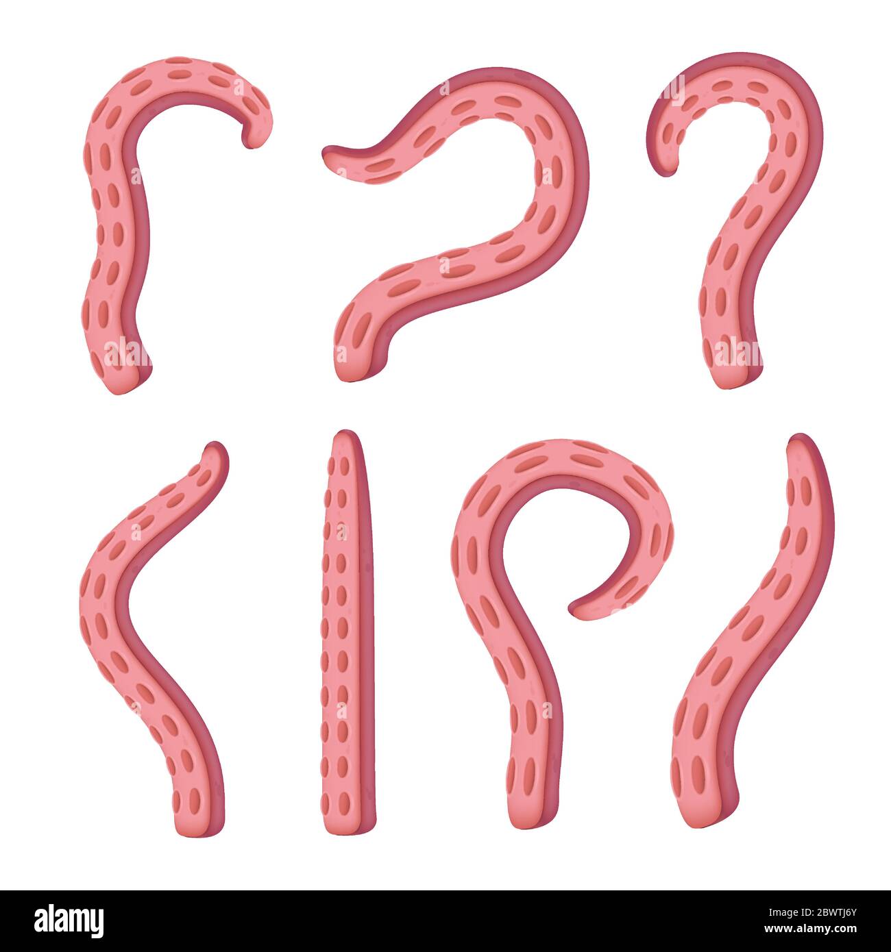 Pink squid or red octopus tentacles set in different poses. Vector ...