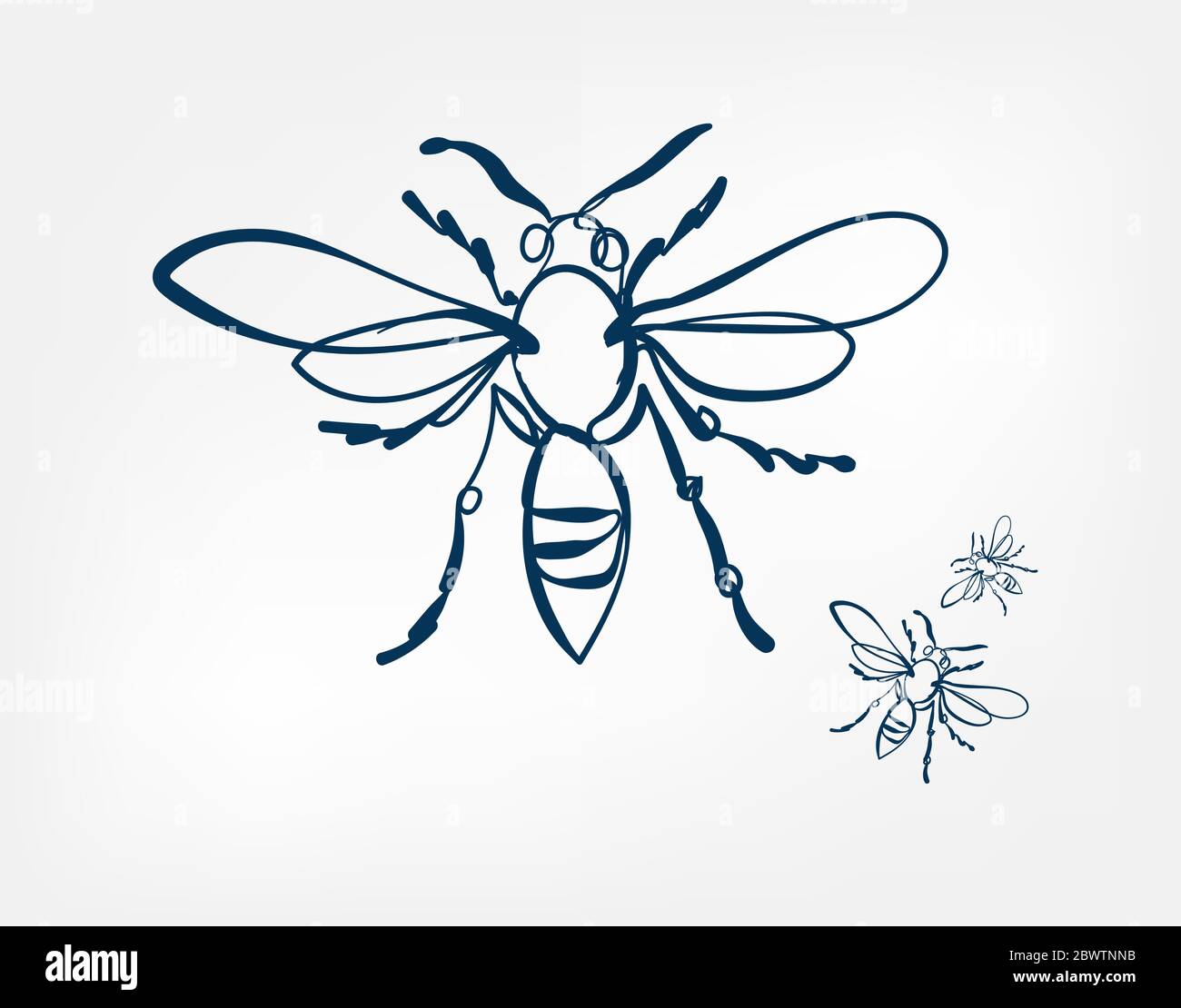 bee wasp insect vector art line isolated doodle Stock Vector Image ...