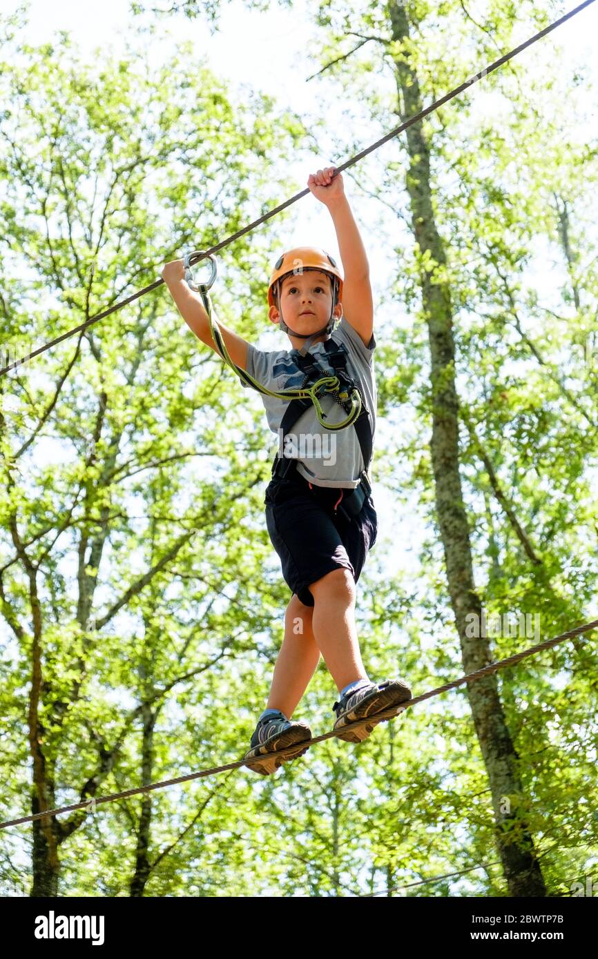 Boy on a high rope course in forest Stock Photo