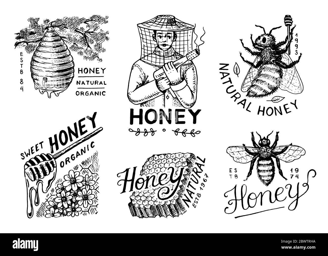 Honey and bees set. Beekeeper man and Honeycombs and hive and apiary. Vintage logo for typography, shop or signboards. Badge for t-shirts. Hand Drawn Stock Vector