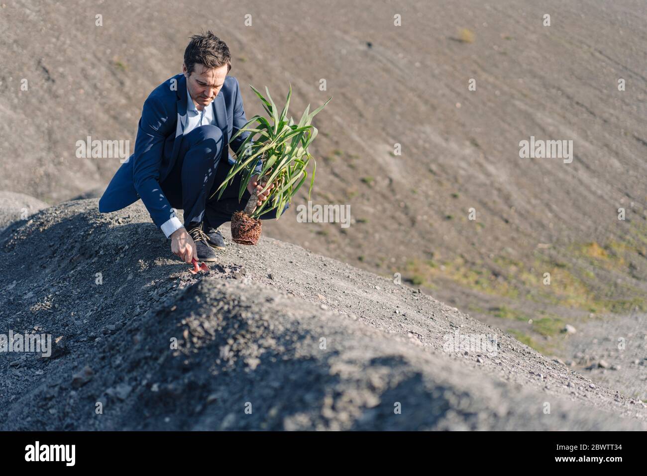 Mature businessman planting a plant on a disused mine tip Stock Photo