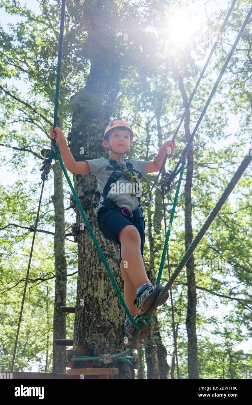 Boy on a high rope course in forest Stock Photo