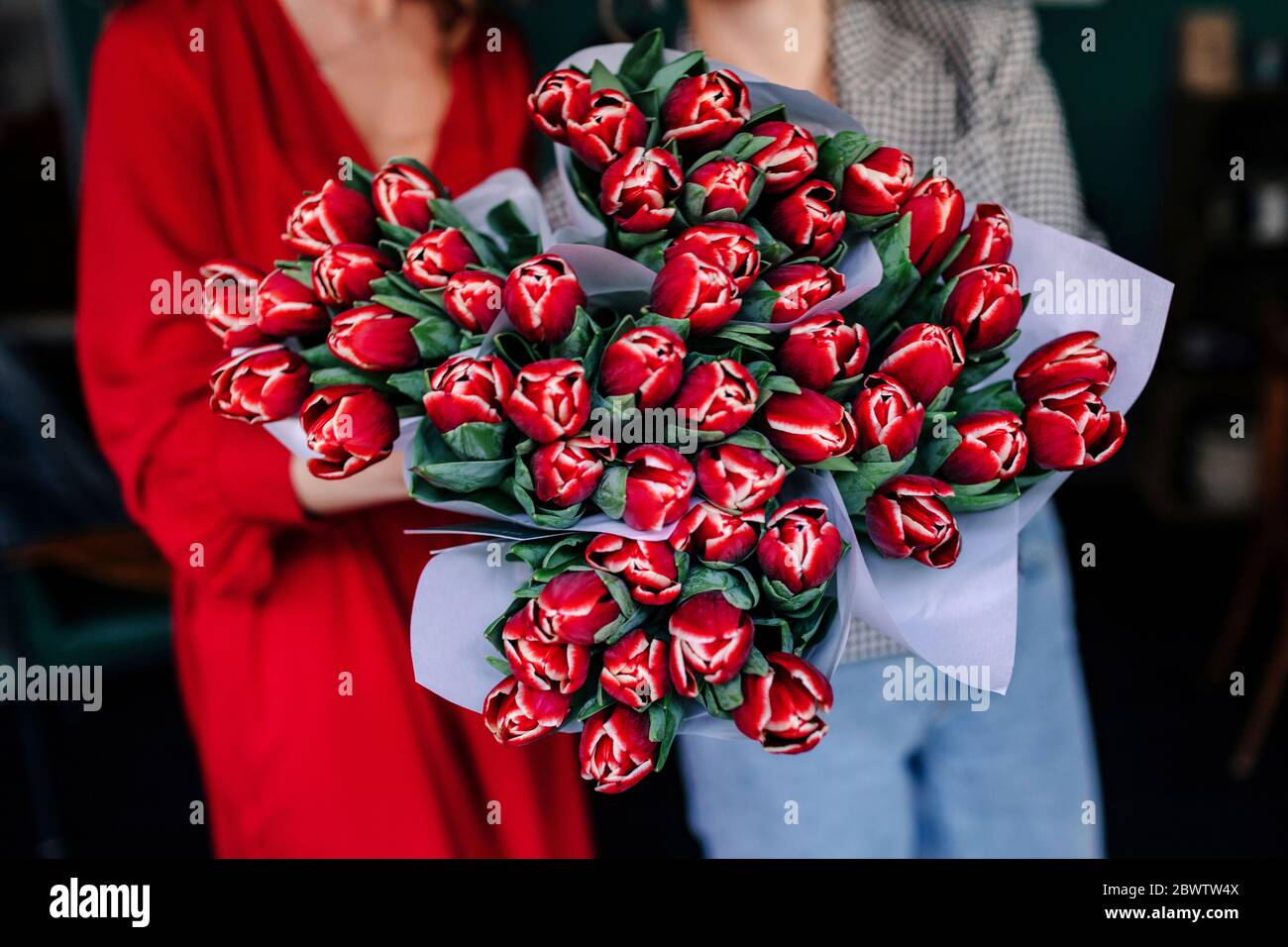 Close-up of two women showing red tulips Stock Photo