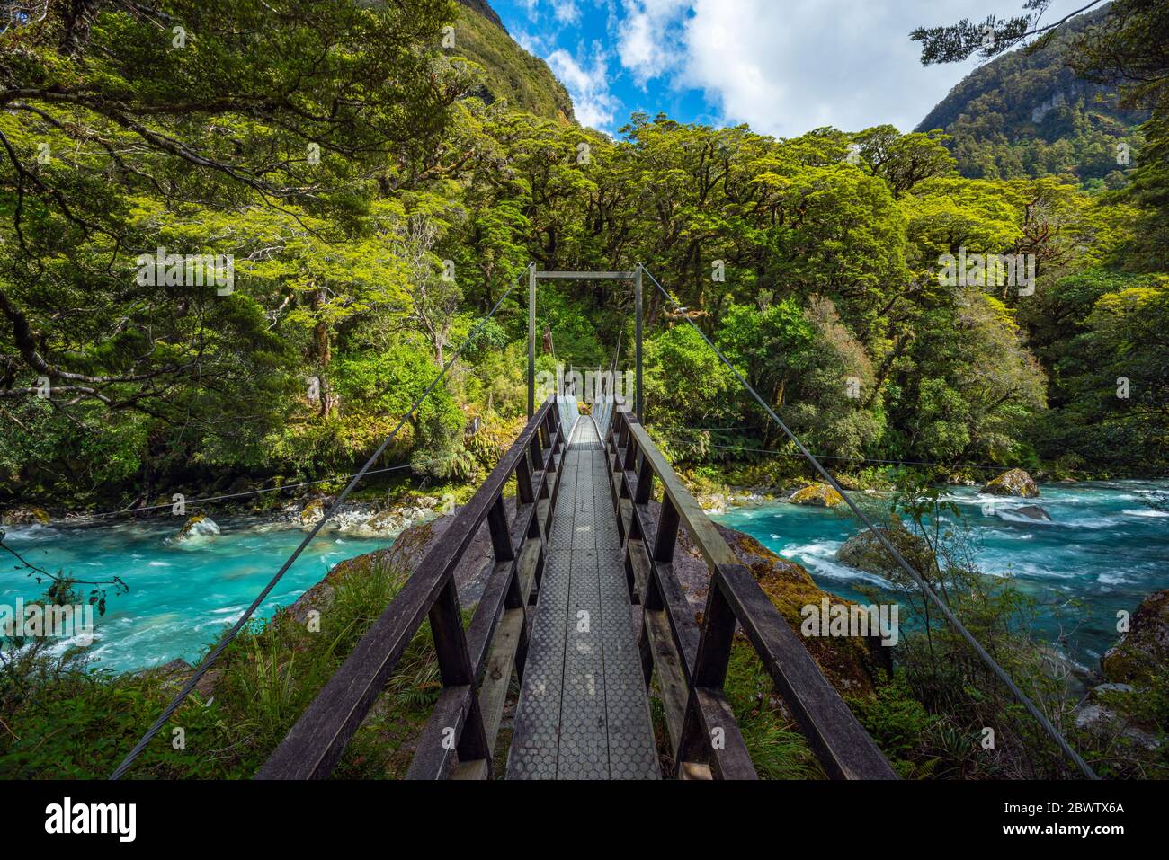 New Zealand, Southland, Te Anau, Bridge across Hollyford River flowing in Fiordland National Park Stock Photo
