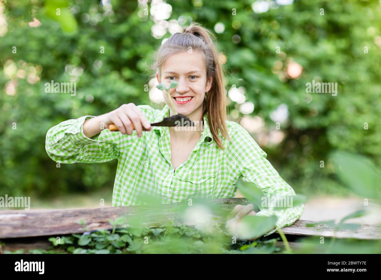 Woman planting young seedlings hi-res stock photography and images - Alamy