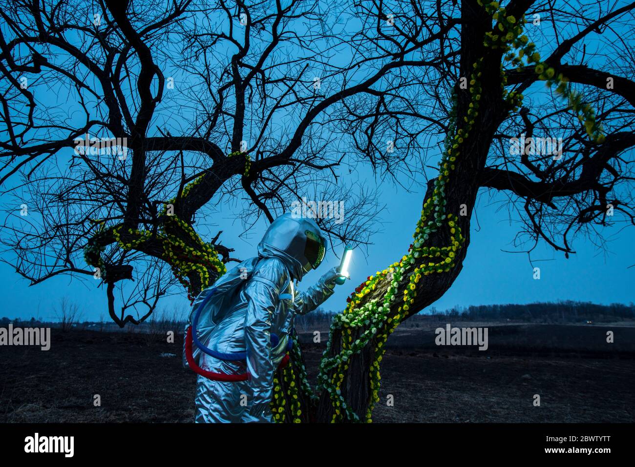 Spacewoman discovering a tree in the evening Stock Photo