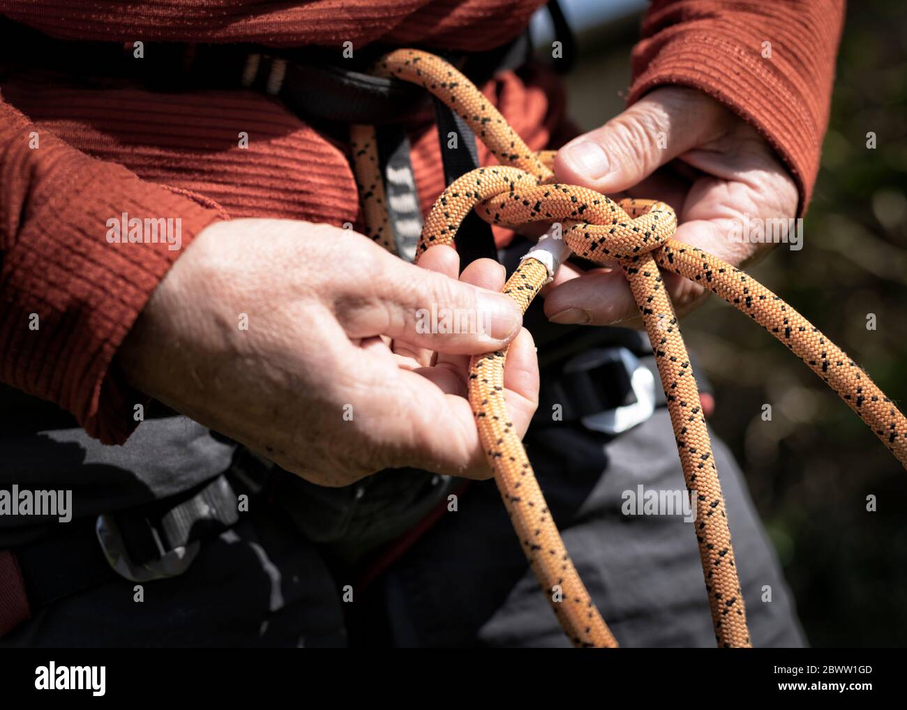 Tying a figure of eight to a rock climbing harness Stock Photo Alamy