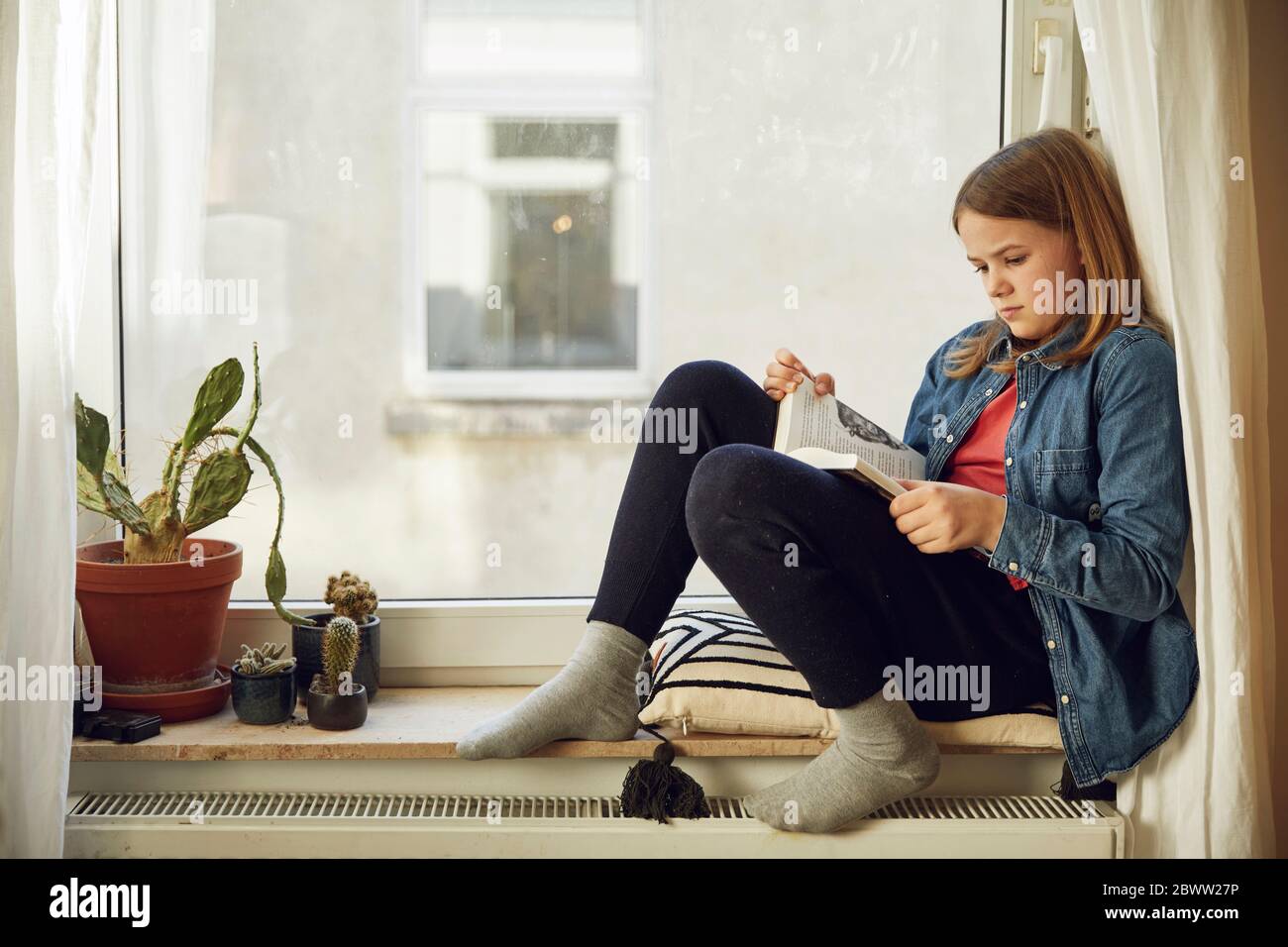 Girl sitting at the window at home reading a book Stock Photo - Alamy