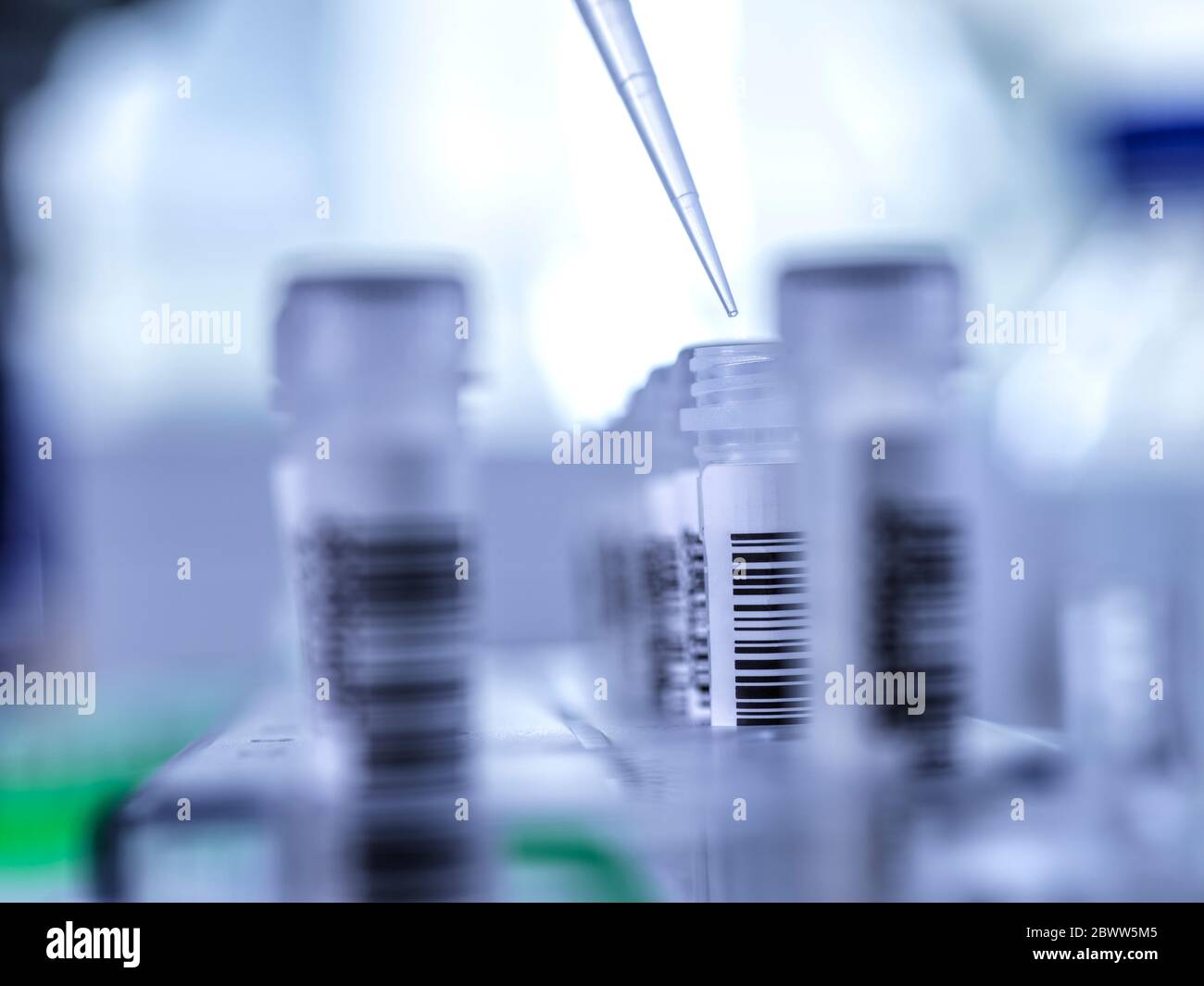 Human Test Tube