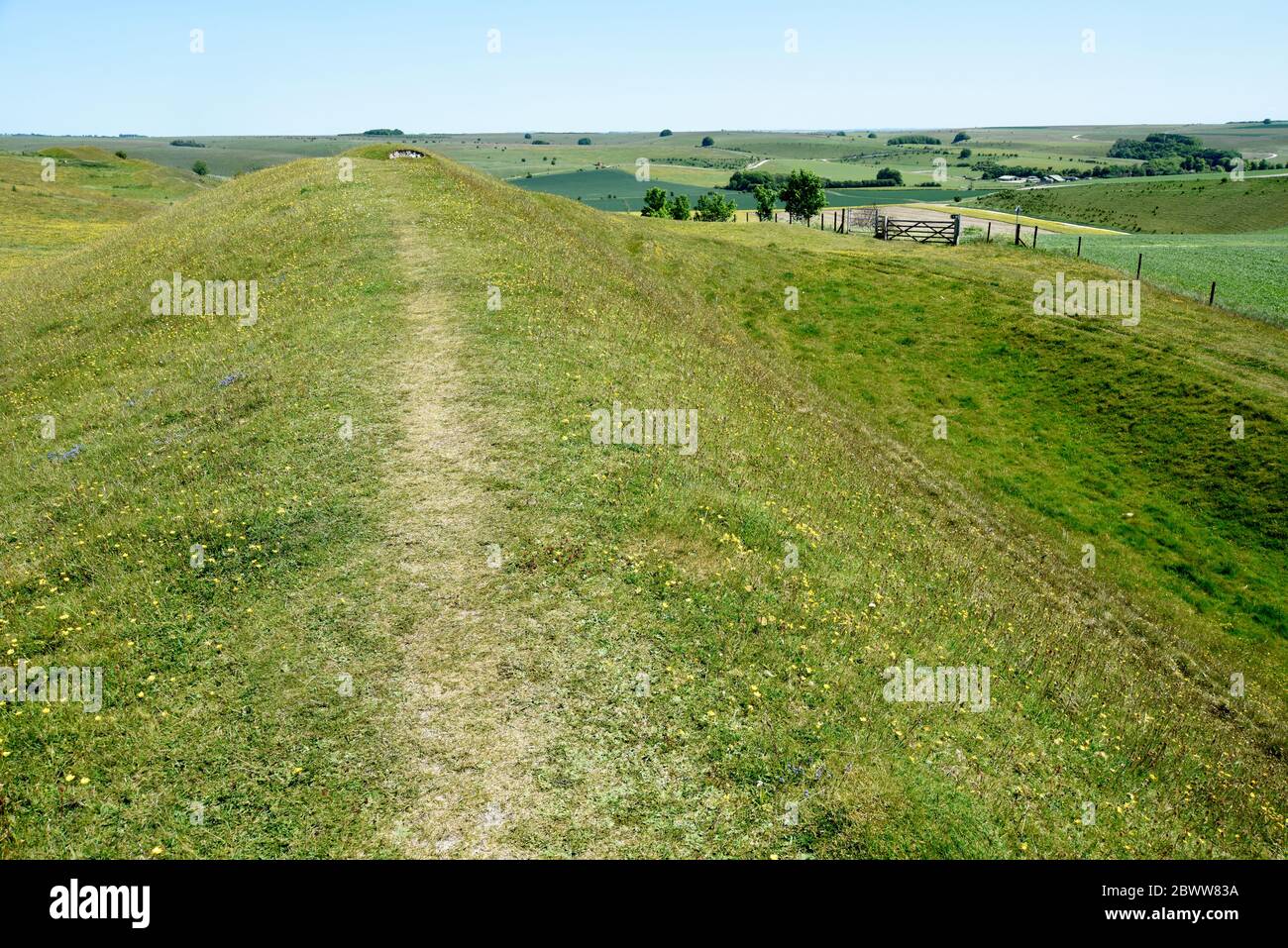 Fench post, Scratchbury Camp, Hill Fort, Wiltshire, England, UK Stock Photo