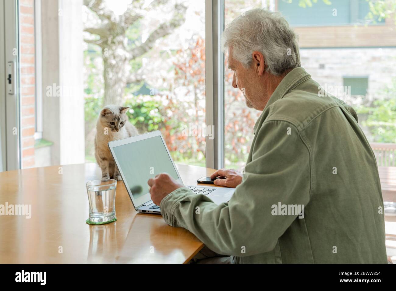 Side view of retired elderly man using laptop while sitting table by window Stock Photo