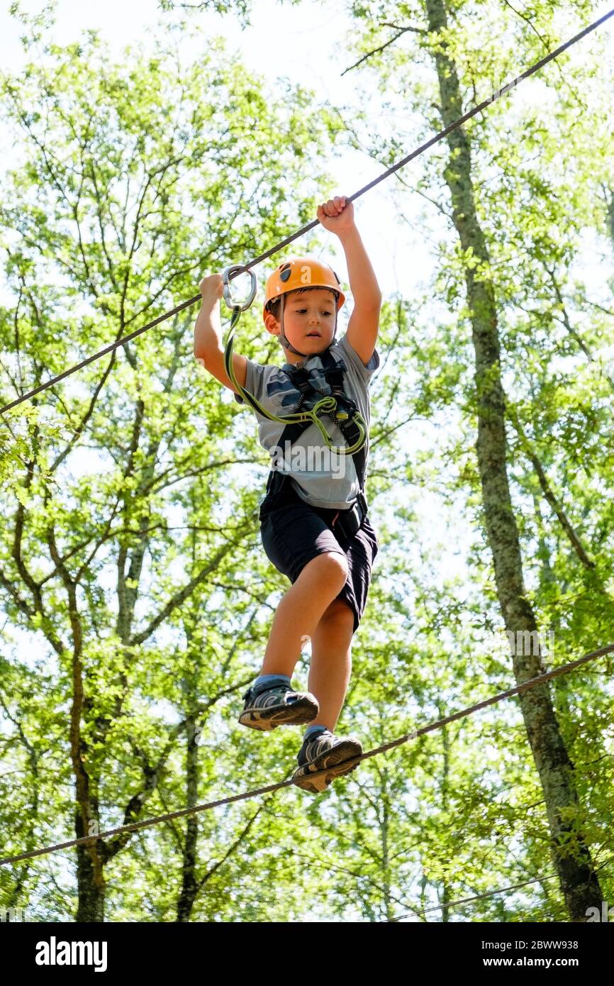 Boy on a high rope course in forest Stock Photo