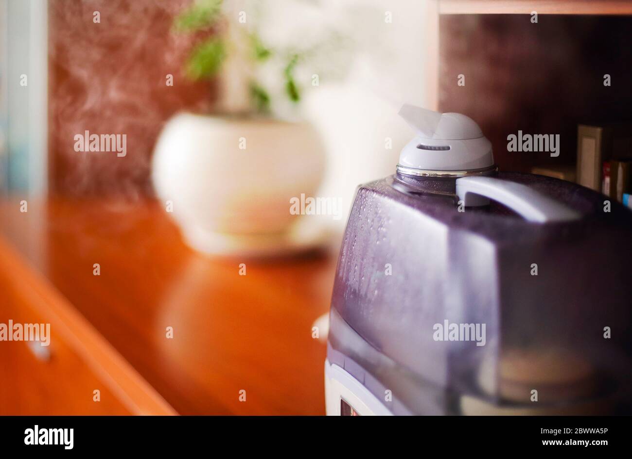 Closeup of modern air humidifier placed on wooden shelf with potted plant in cozy room at home Stock Photo