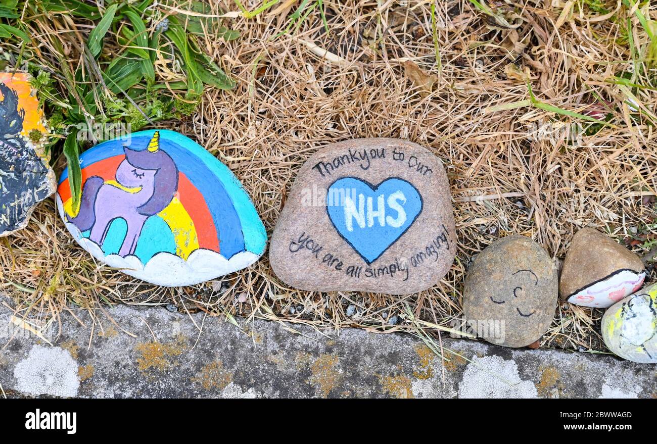 Brighton UK 3rd June 2020 - A COVID-19 Rock Snake has been created with hundreds of painted pebbles by children in Lockwood Park Woodingdean near Brighton  . Rock snakes have appeared around the country during the coronavirus COVID-19 pandemic crisis some thanking the NHS and Key Workers . Credit: Simon Dack / Alamy Live News Stock Photo