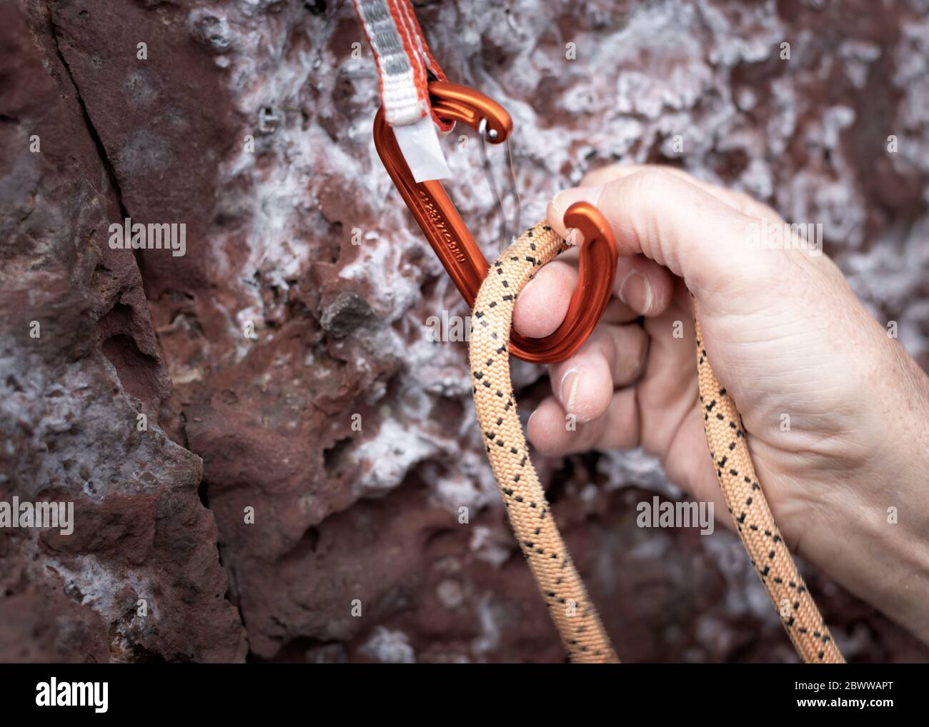 Clipping a climbing rope into a karabiner Stock Photo