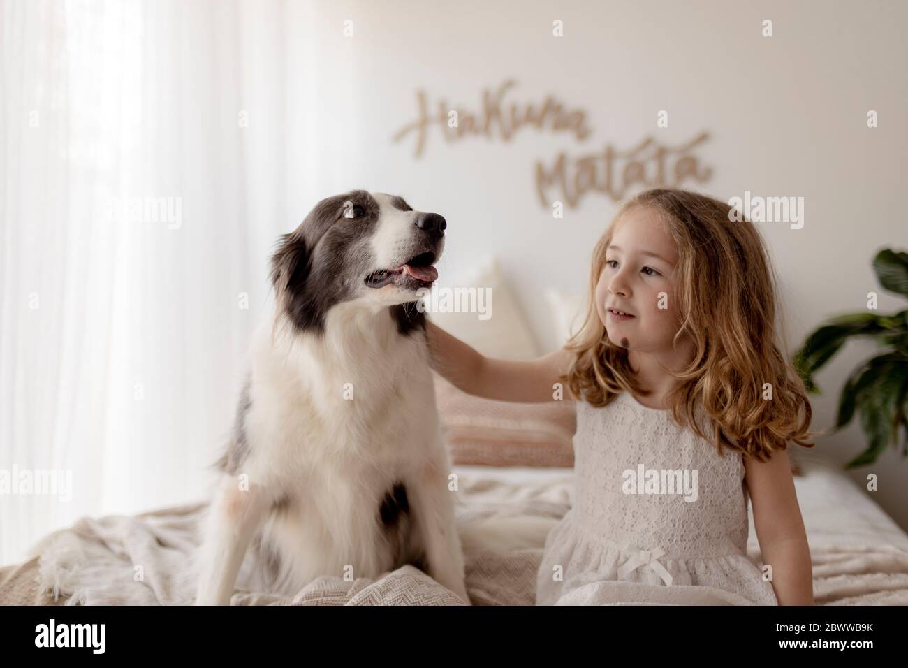 Portrait of little girl sitting on bed with her dog Stock Photo - Alamy
