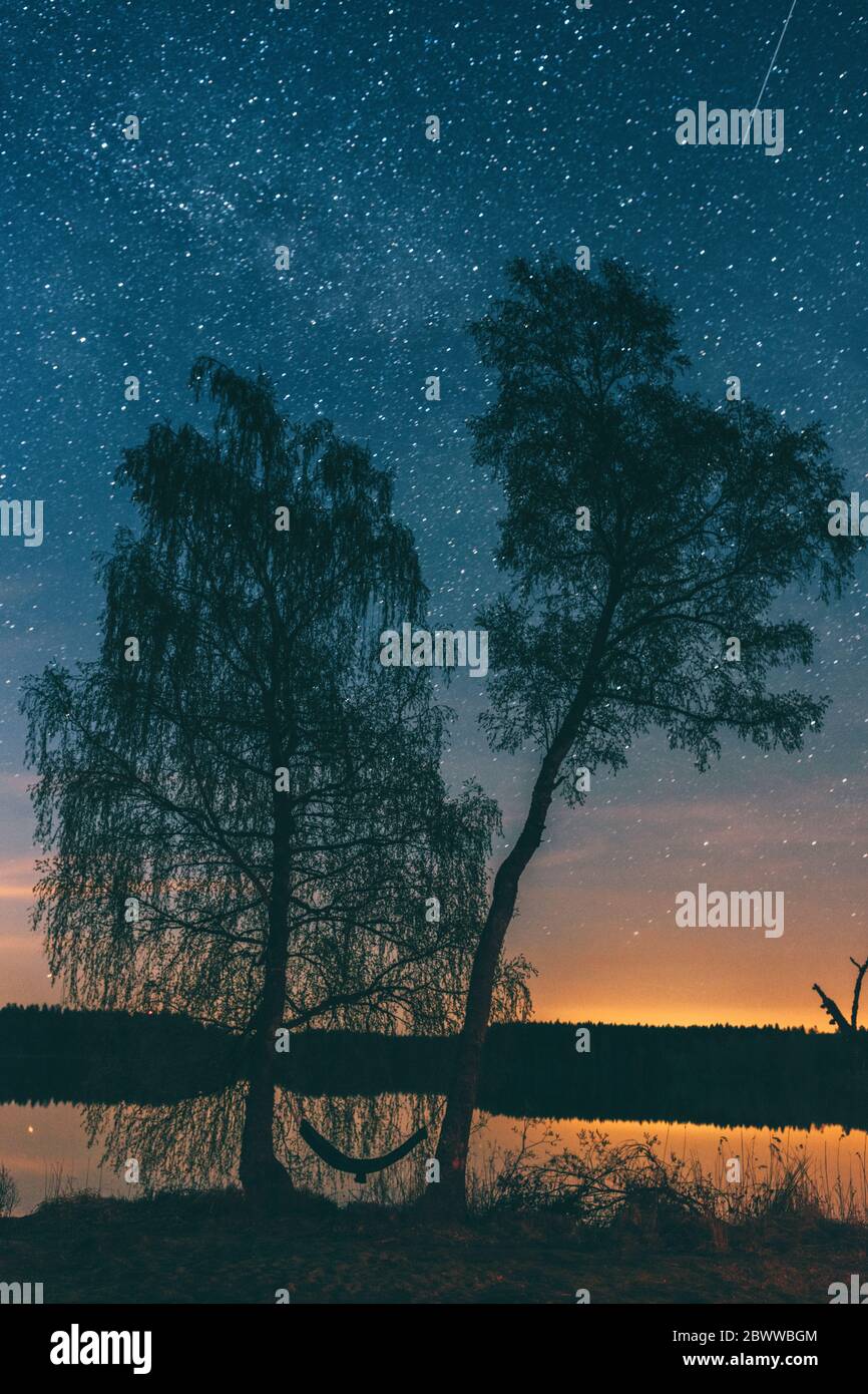 Starry sky over trees in Sodermanland, Nykoping, Sweden Stock Photo