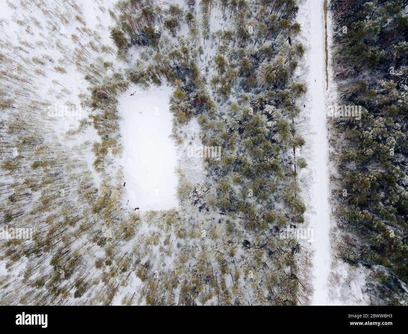 Russia, Leningrad Oblast, Aerial view of snow-covered pond and road in winter forest Stock Photo
