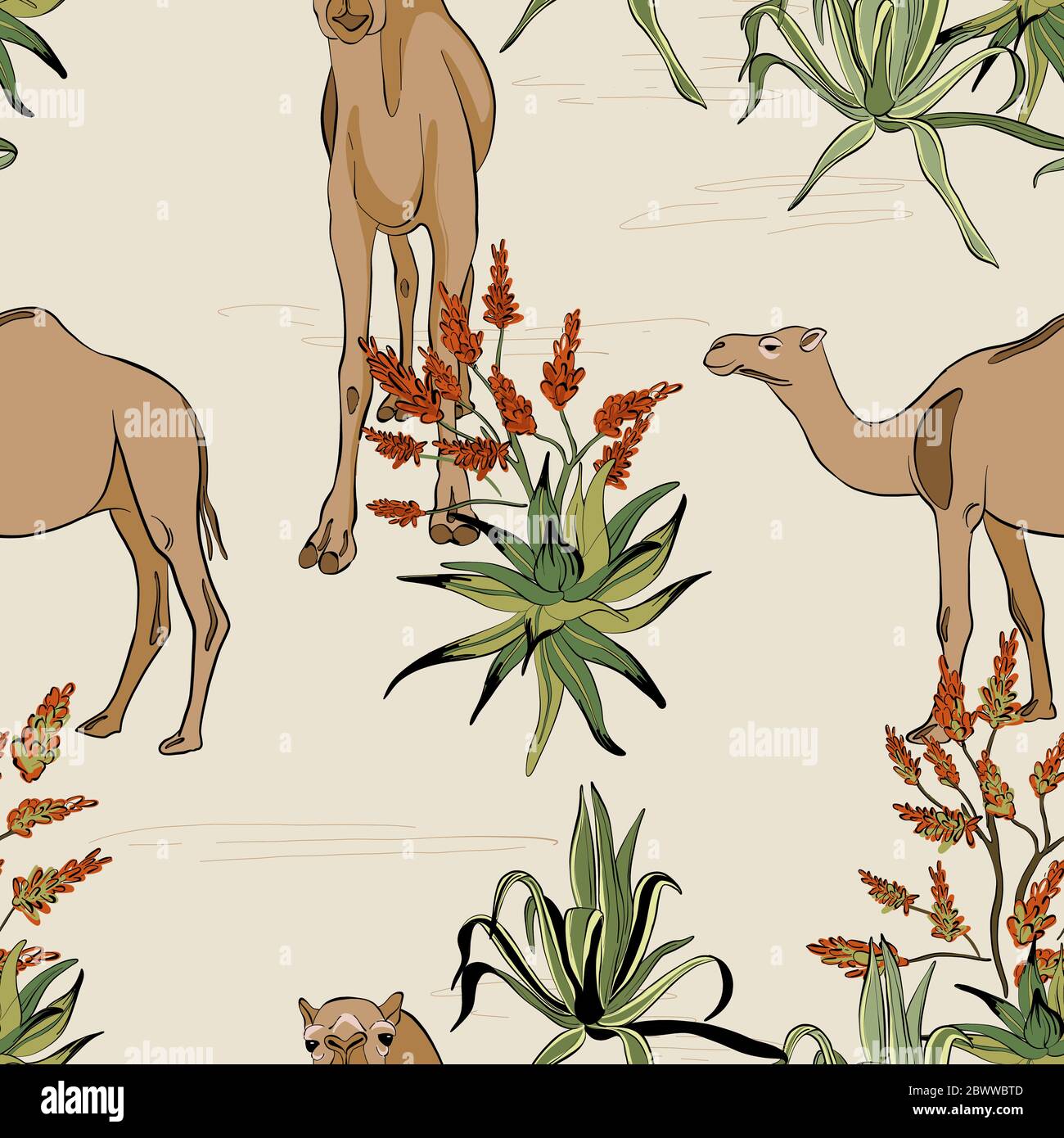 Savanna camel in desert pattern. Cartoon wild animal illustration, seamless  design safari plants, cactus, african landscape print in vector Stock  Vector Image & Art - Alamy
