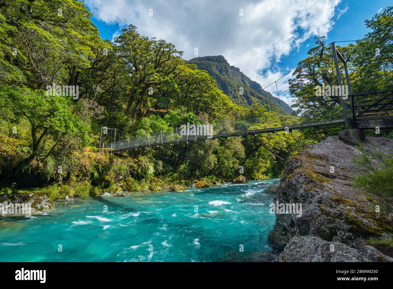 New Zealand, Southland, Te Anau, Bridge across Hollyford River flowing in Fiordland National Park Stock Photo