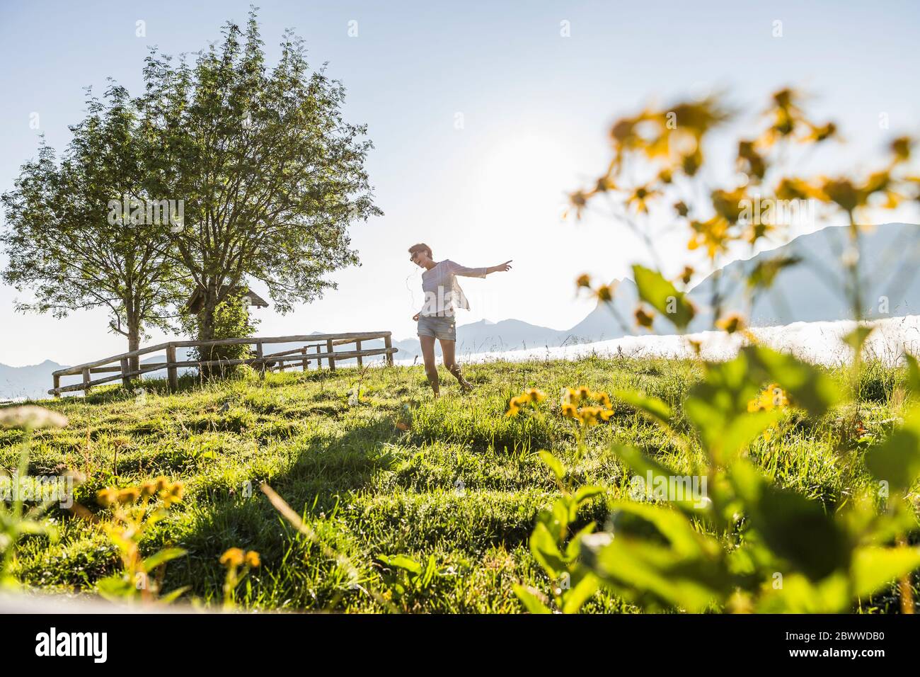Carefree woman dancing on a meadow in the mountains, Achenkirch, Austria Stock Photo