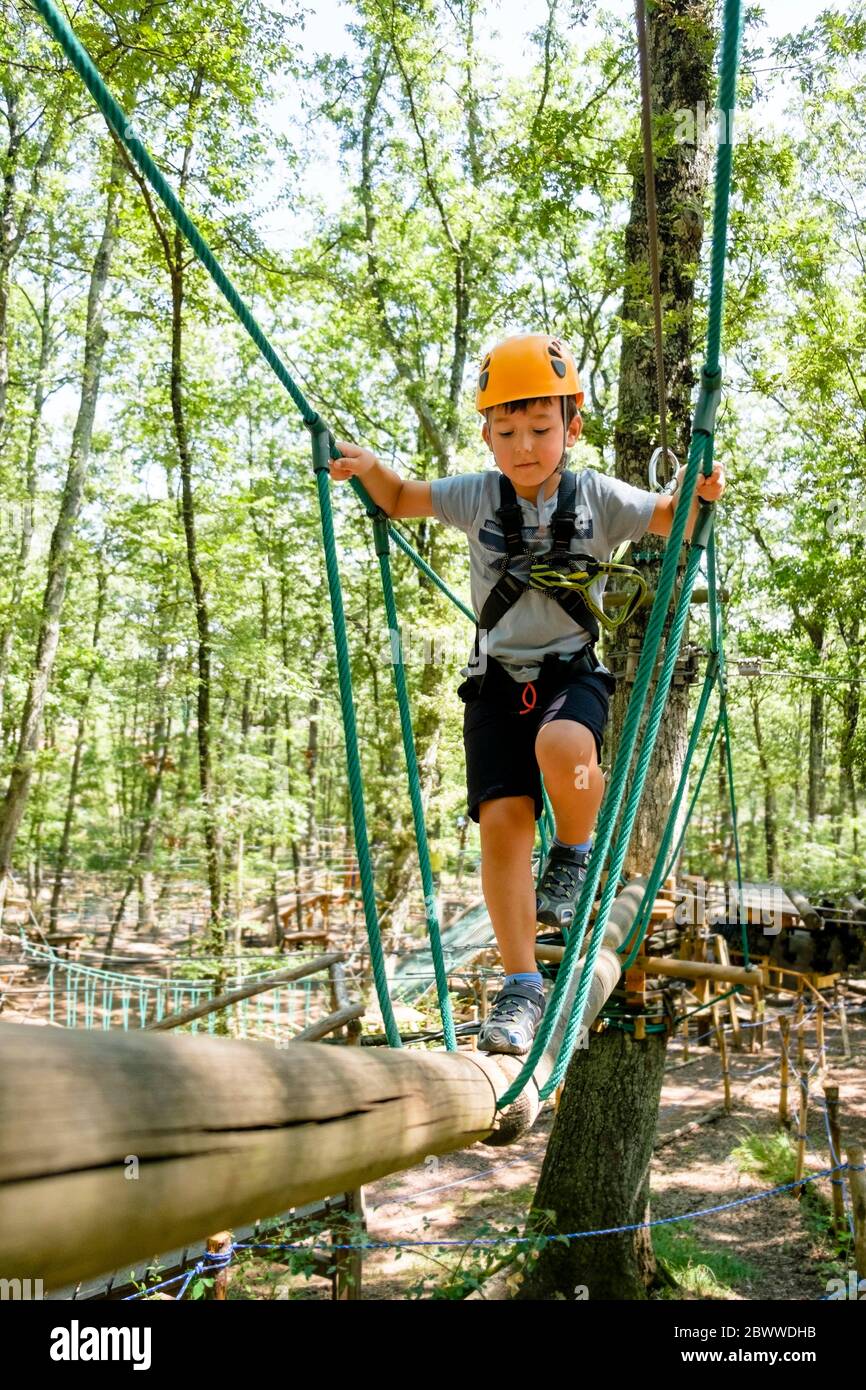 Boy on a high rope course in forest Stock Photo