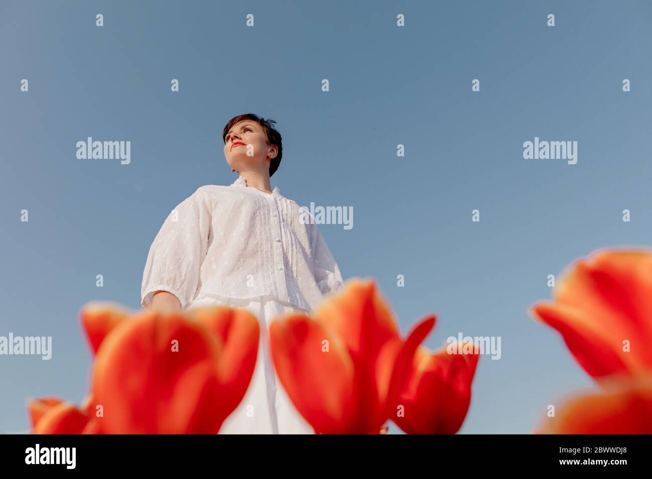 Portrait of woman dressed in white standing in tulip field agaist blue sky Stock Photo