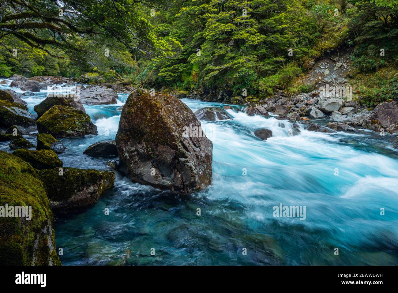 New Zealand, Southland, Te Anau, Long exposure of Hollyford River rushing in Fiordland National Park Stock Photo
