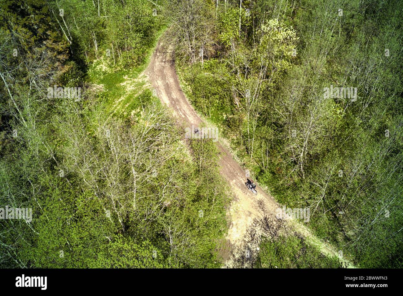 Road through deep forest with biker figure on it. Aerial view Stock Photo