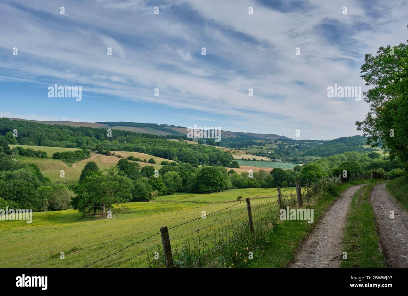 Looking towards the Long Mynd from the edge of Heath Wood near Craven Arms, Shropshire Stock Photo
