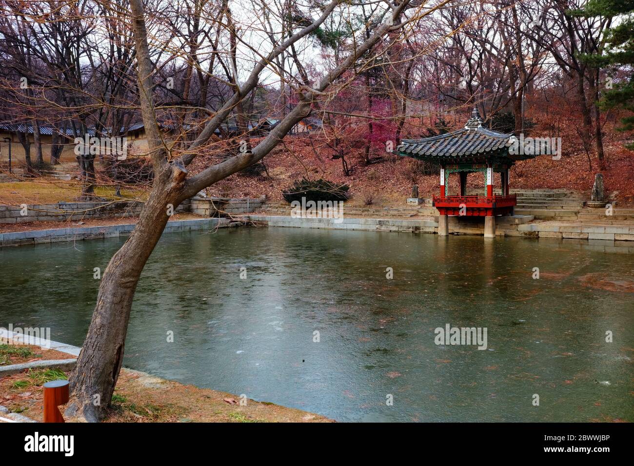 SEOUL, SOUTH KOREA - DECEMBER 25, 2018: Pool in Freezing Temperature at The Secret Garden inside Changdeokgung Ancient Palace Seoul, South Korea in th Stock Photo