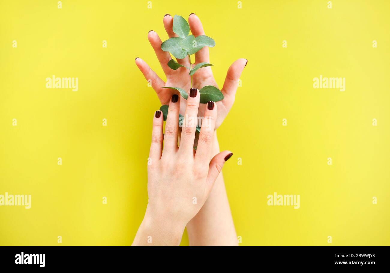 From above crop unrecognizable female hi-res stock photography and ...