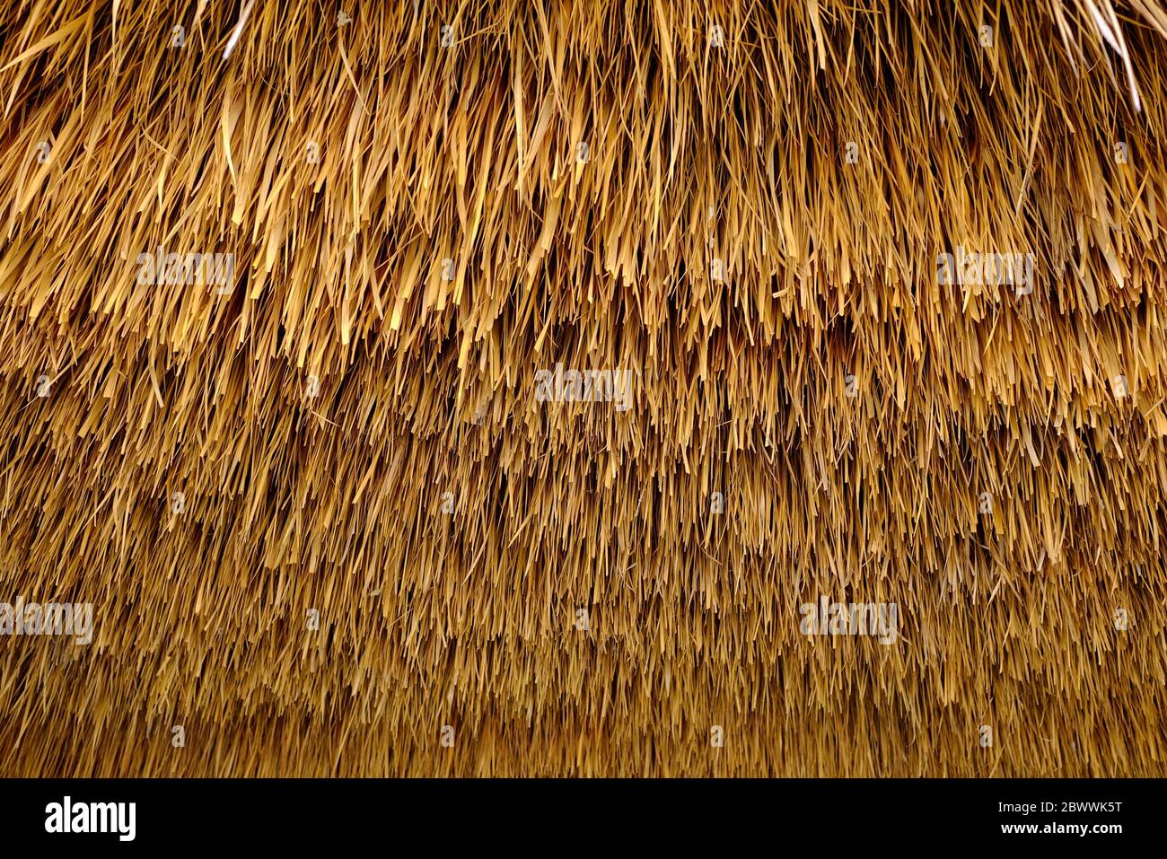 Straw Texture Roof Background. Stock Photo
