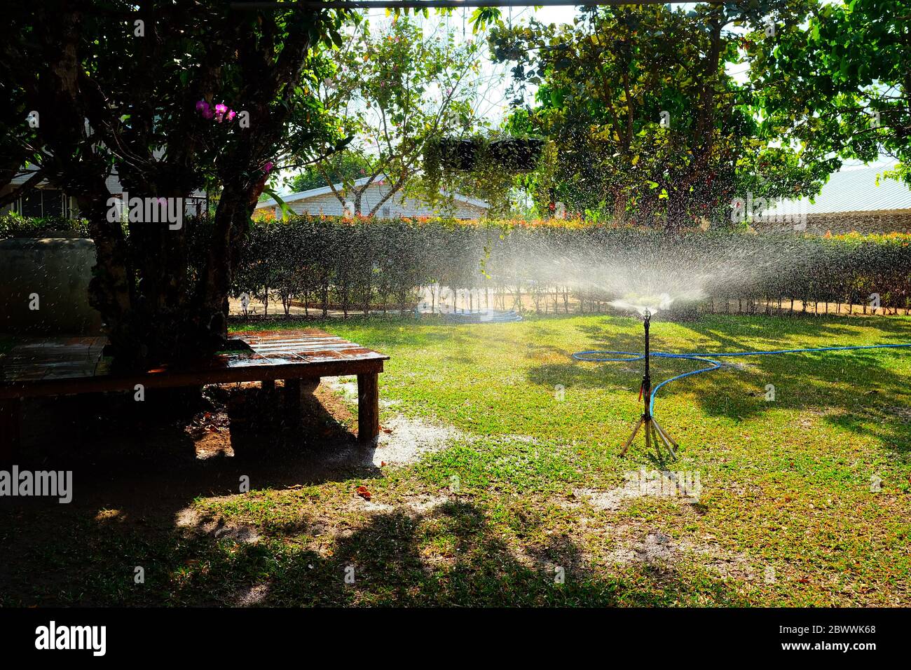 Water Sprinkle in the Garden. Stock Photo