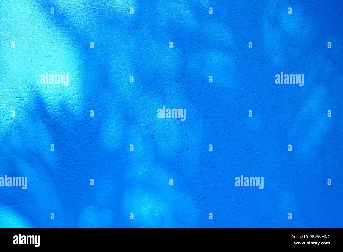 Shadow of Leaves on Blue Painting Concrete Wall Background. Stock Photo