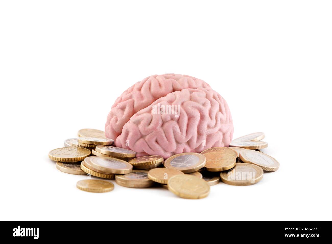 Human brain with coins on white background Stock Photo