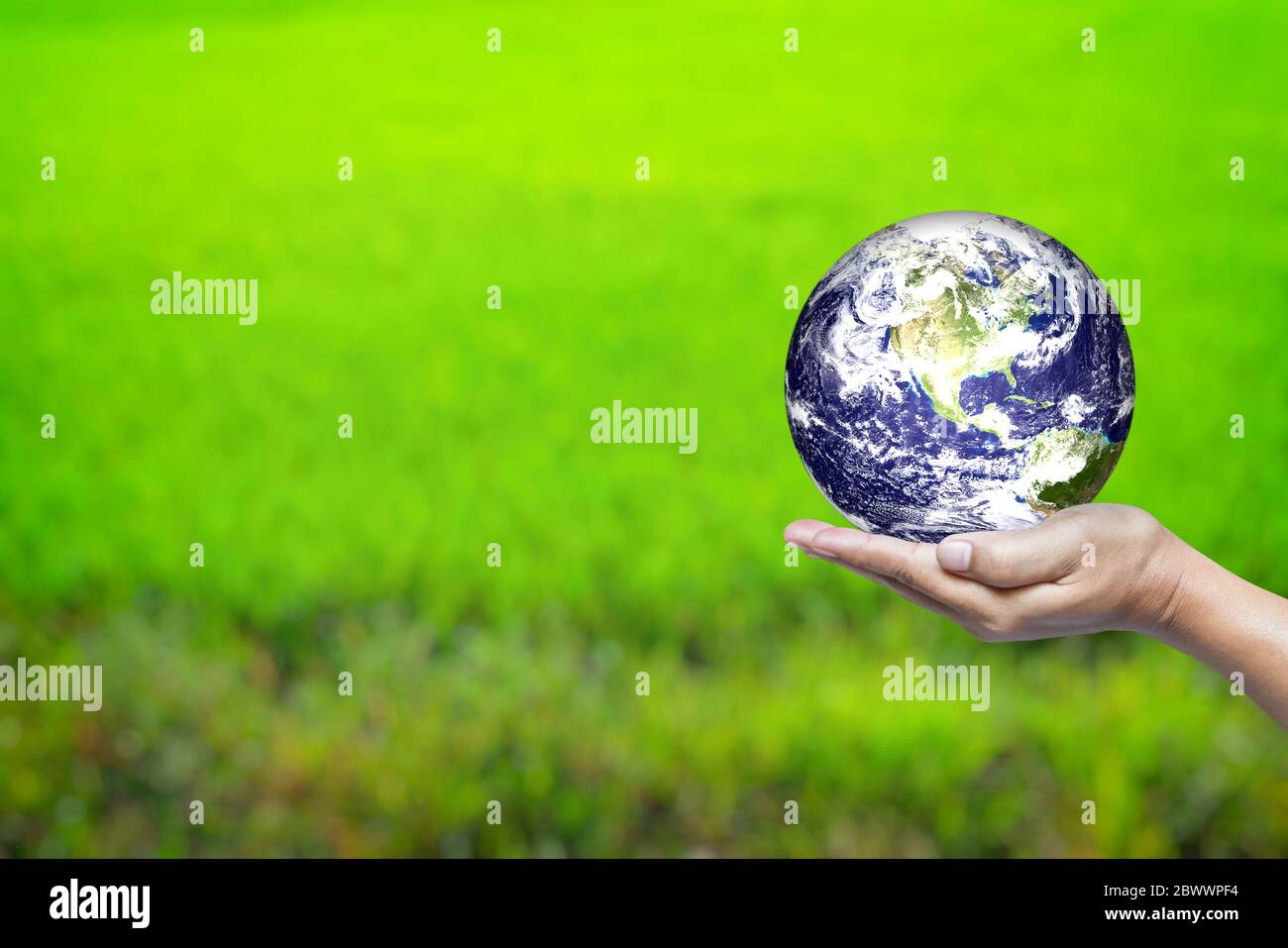 World in Hand and Green Field Background with Space for Text, Suitable for Business and Environment Concept. Elements of this Image Furnished by Nasa. Stock Photo