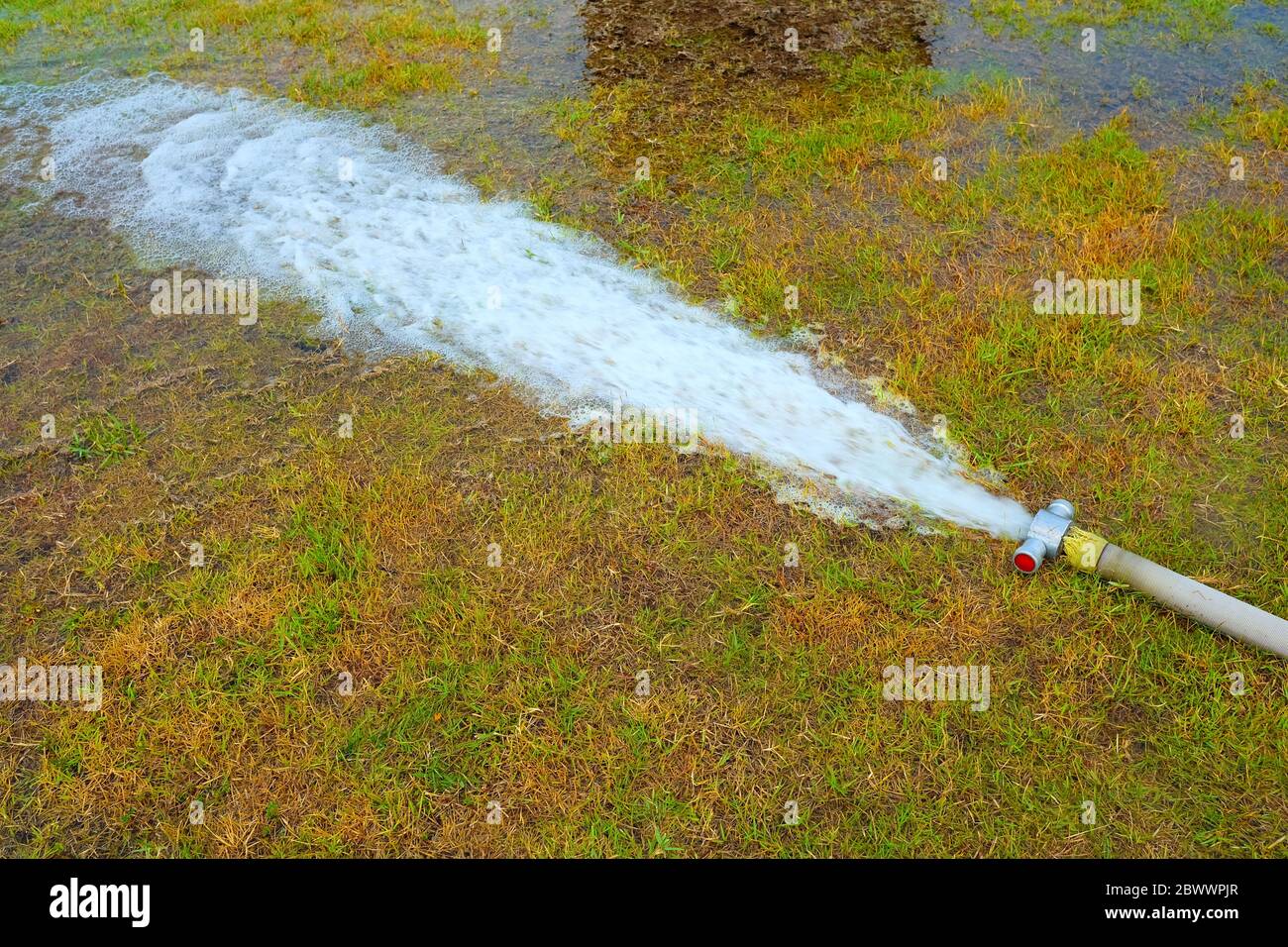 Stream of Water From Hose in the Green Field Stock Photo - Alamy