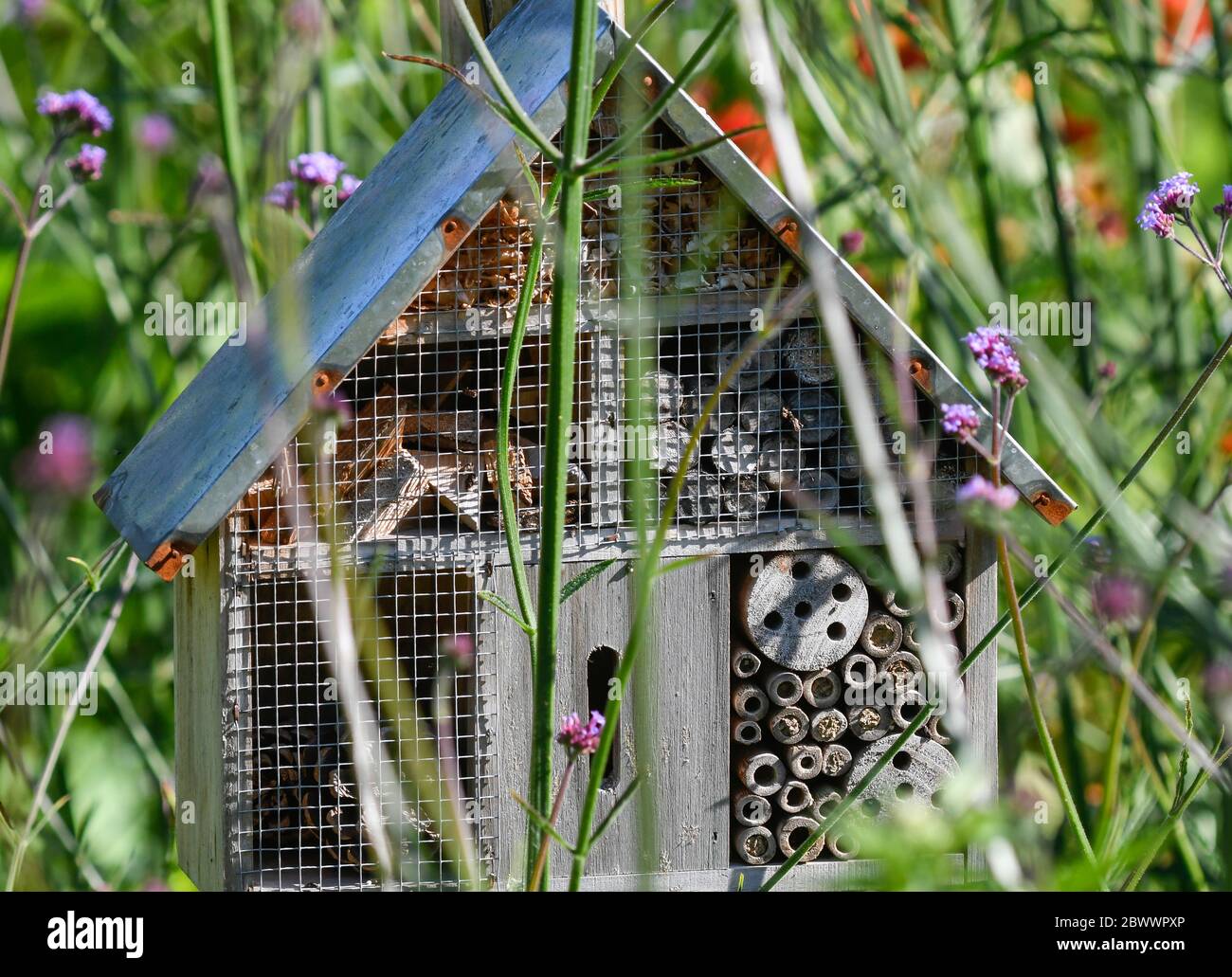 Biodiversity refuge hi-res stock photography and images - Alamy