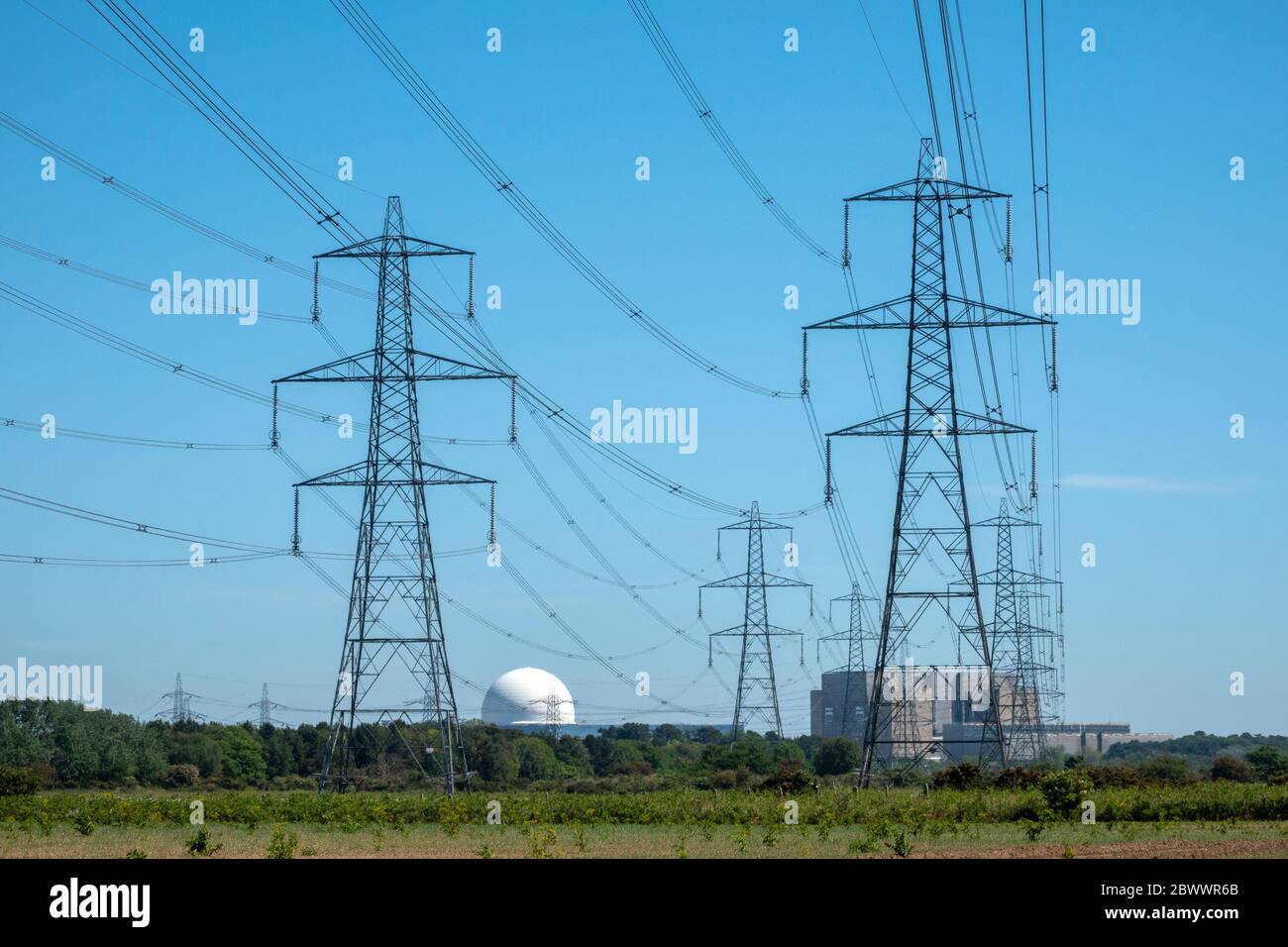 A line of electricity pylons coming from  Sizewell A and B Nuclear Power Plant in the distance Stock Photo