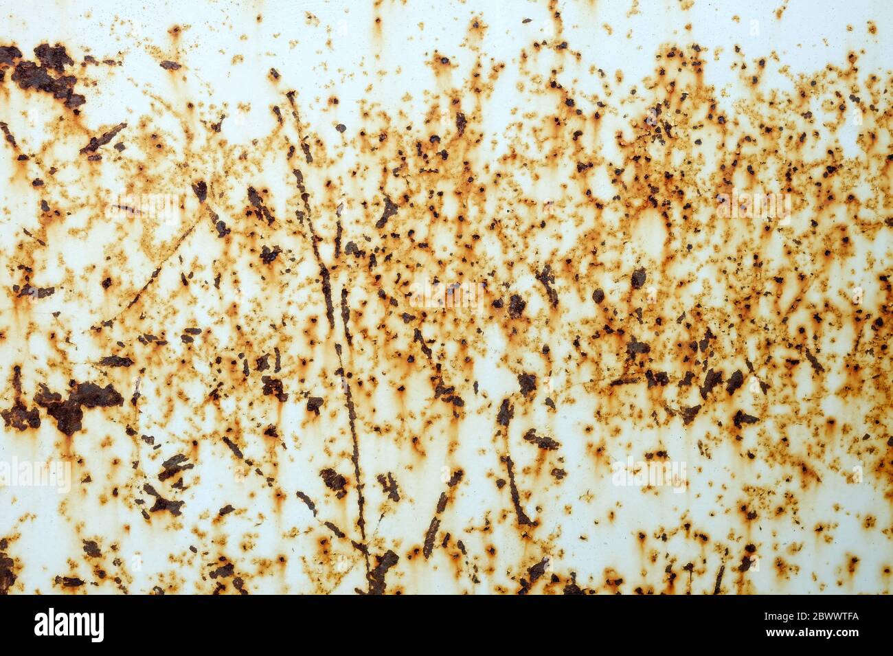 Rusty on Peeling White Painting on Metal Sheet Background Stock Photo ...