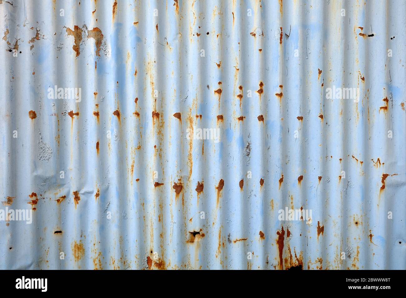 Rusty on Blue Paint on Zinc Wall Background. Stock Photo
