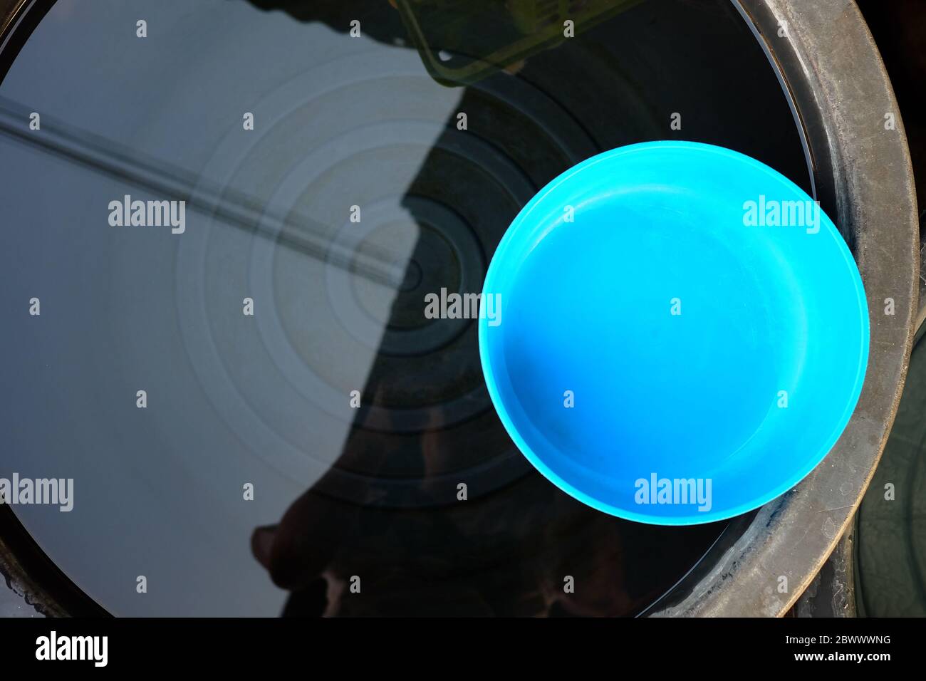 Blue Plastic Bowl in Black Basin. Stock Photo