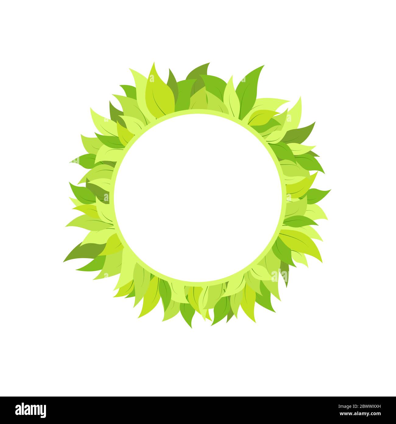 Round wreath with bright green leaves isolated on white. Text box or ...