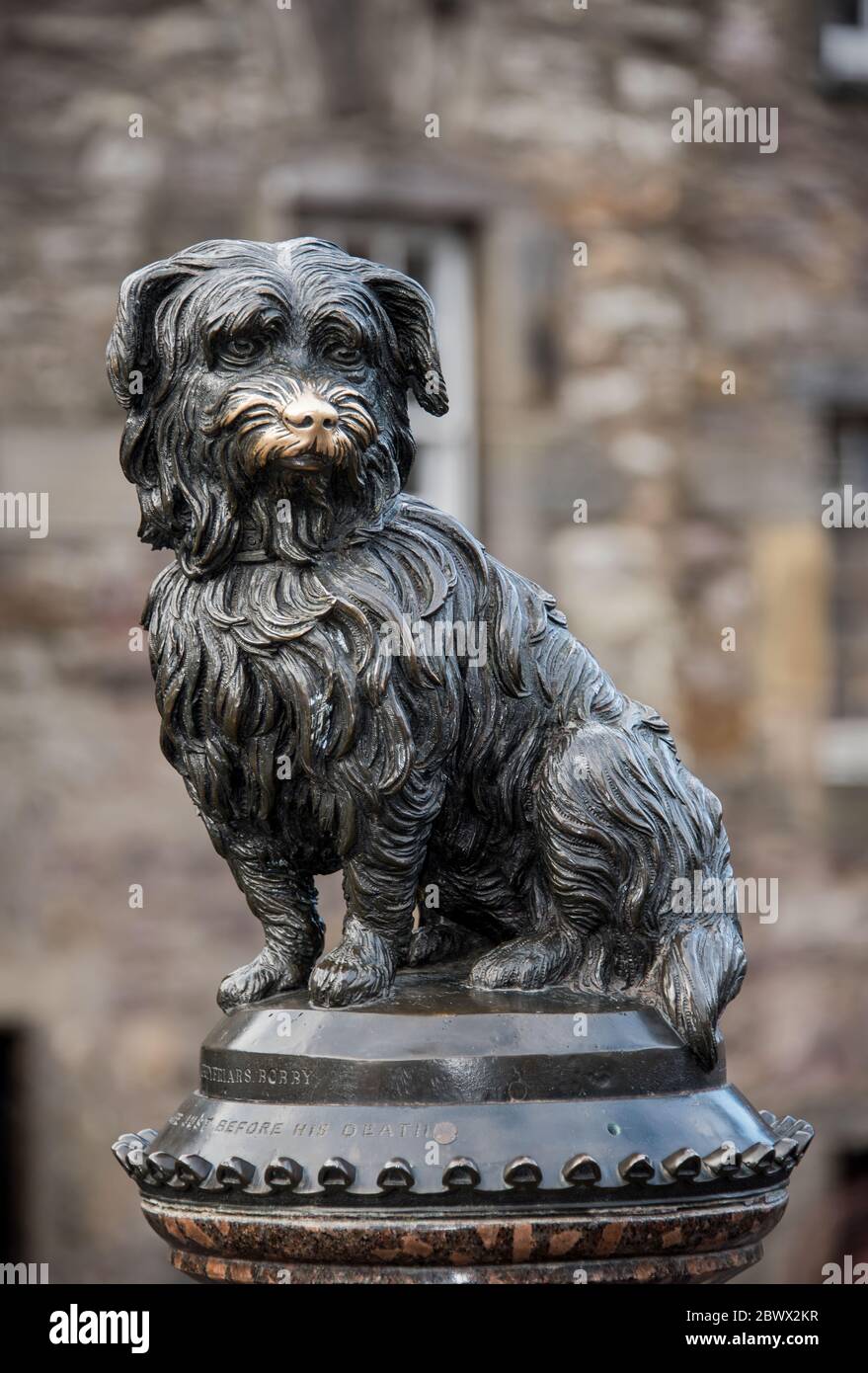 Greyfriars Bobby statue in Edinburgh, Scotland. Stock Photo